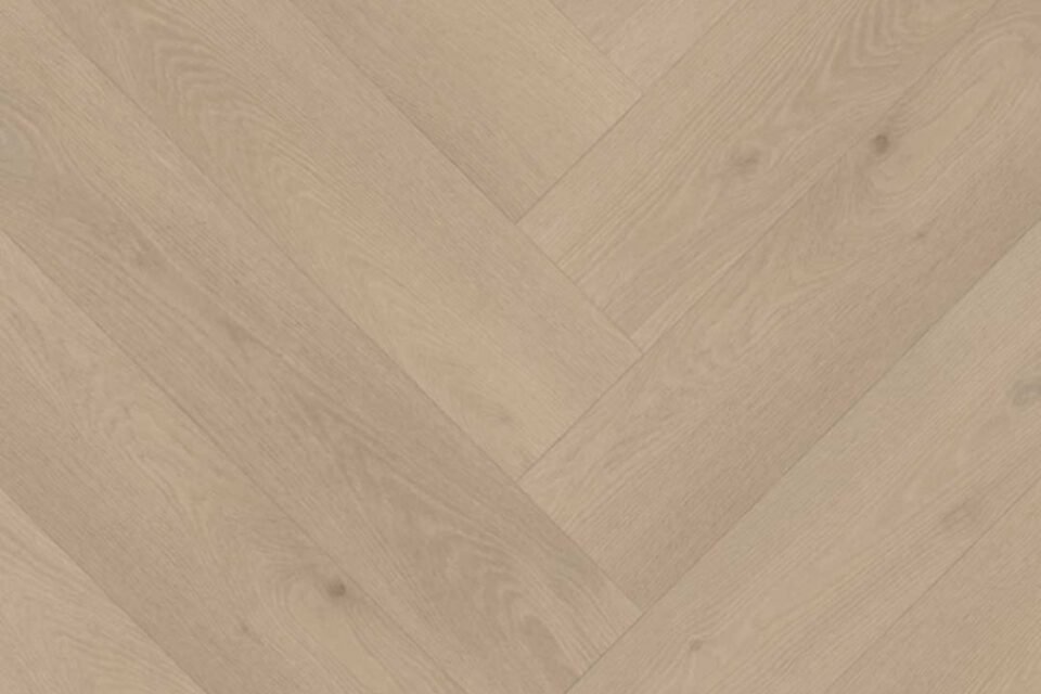 Belakos Palazzo visgraat XL 74