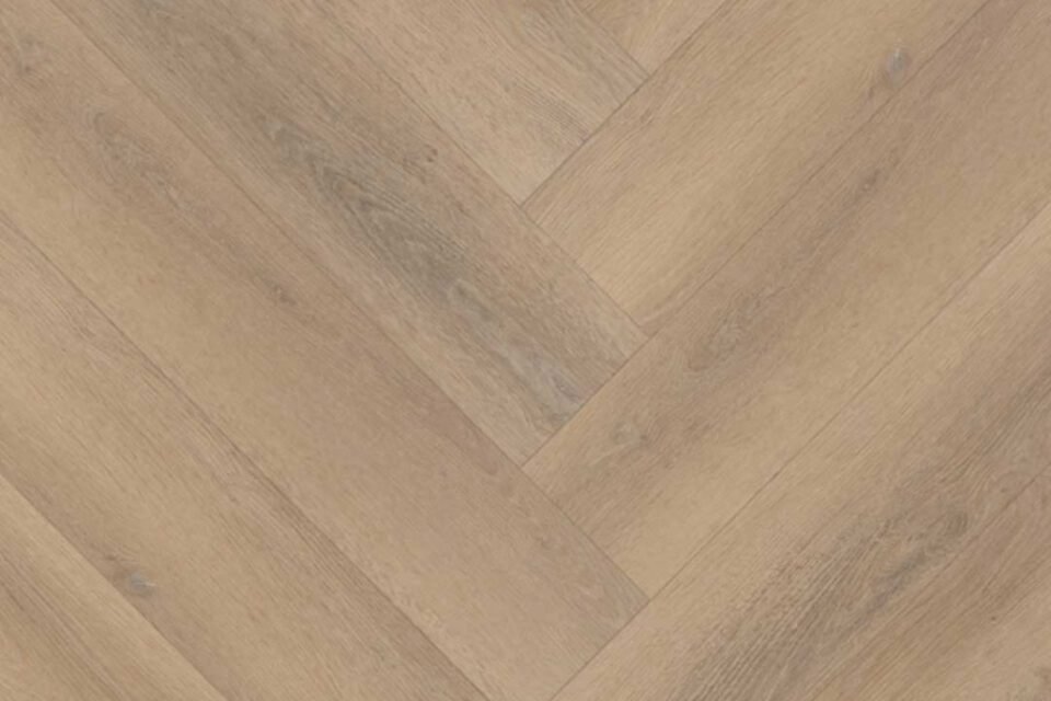 Belakos Palazzo visgraat XL 76