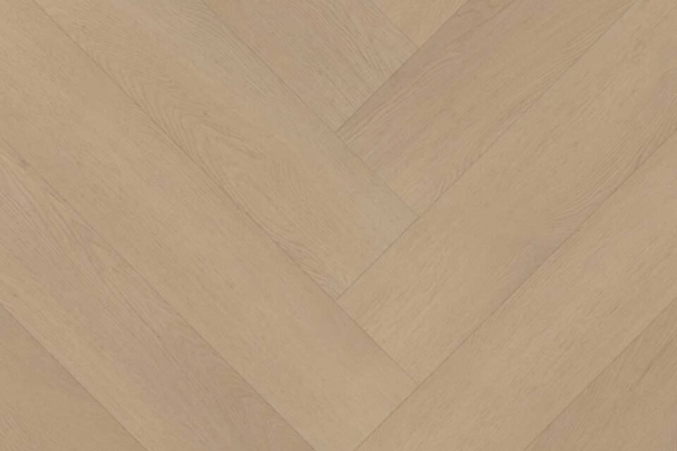 Belakos Palazzo visgraat XL 77