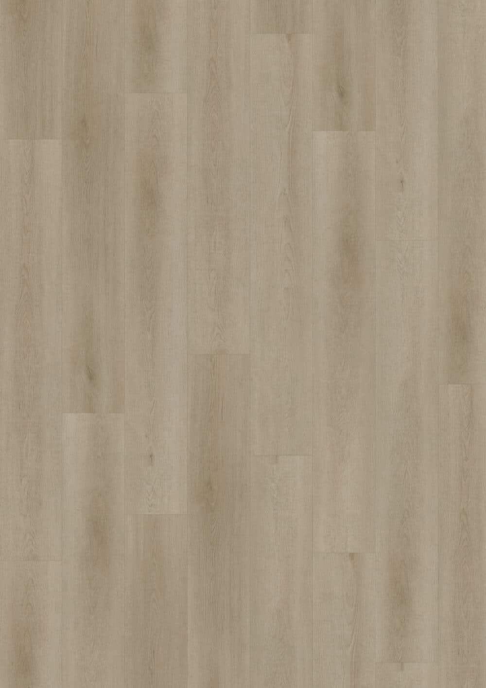 LVLnine Raw Oak Light Natural Wood