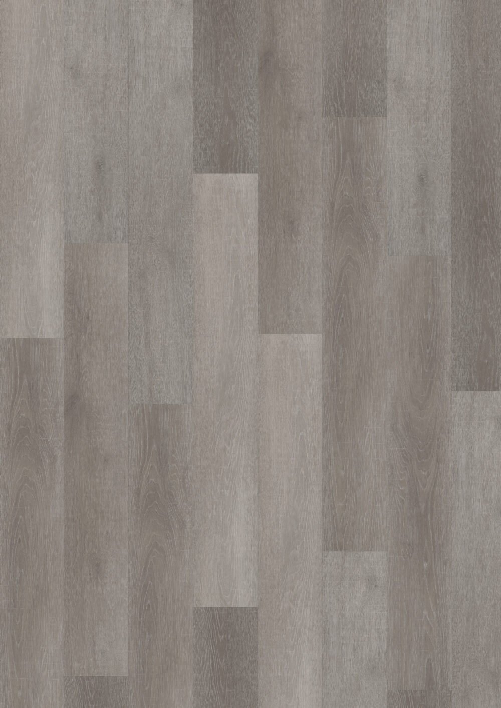 LVLnine Flemish Oak Grey Wood
