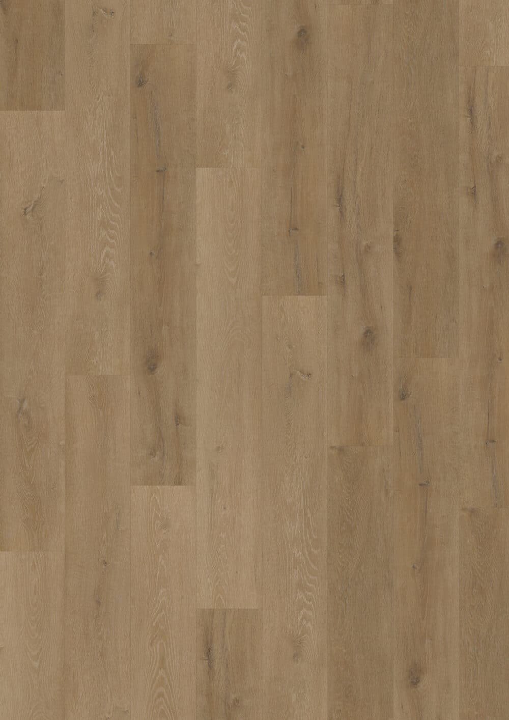 LVLnine Prestige Oak Light Amber Wood