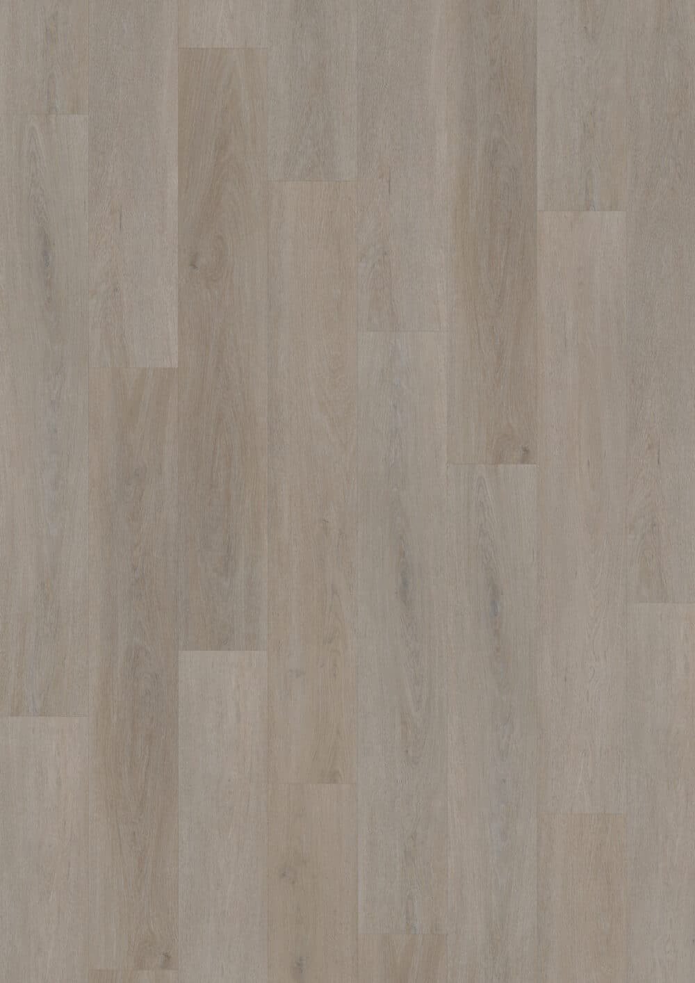 LVLnine English Oak Greige Wood
