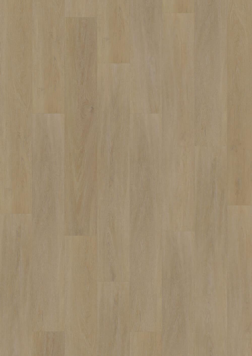 LVLnine English Oak Natural Wood