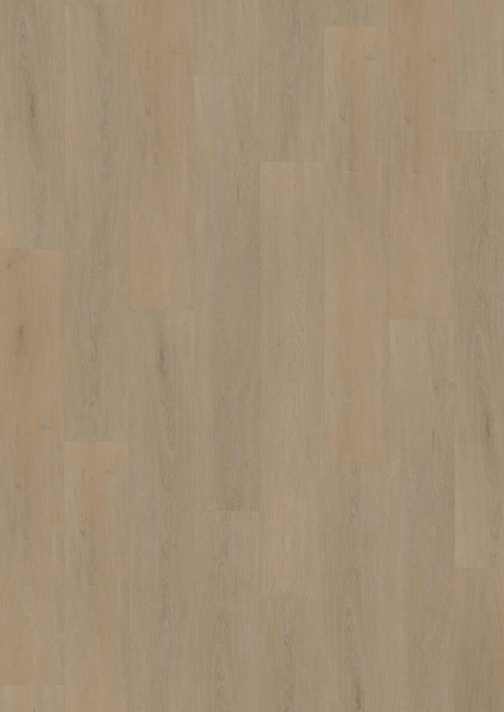 LVLnine English Oak Warm Natural Wood
