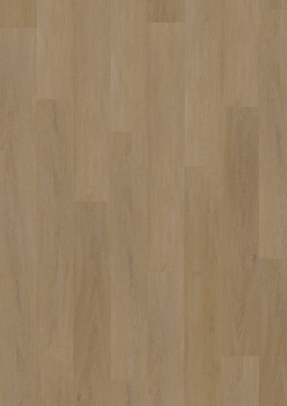 LVLnine English Oak Honey Wood
