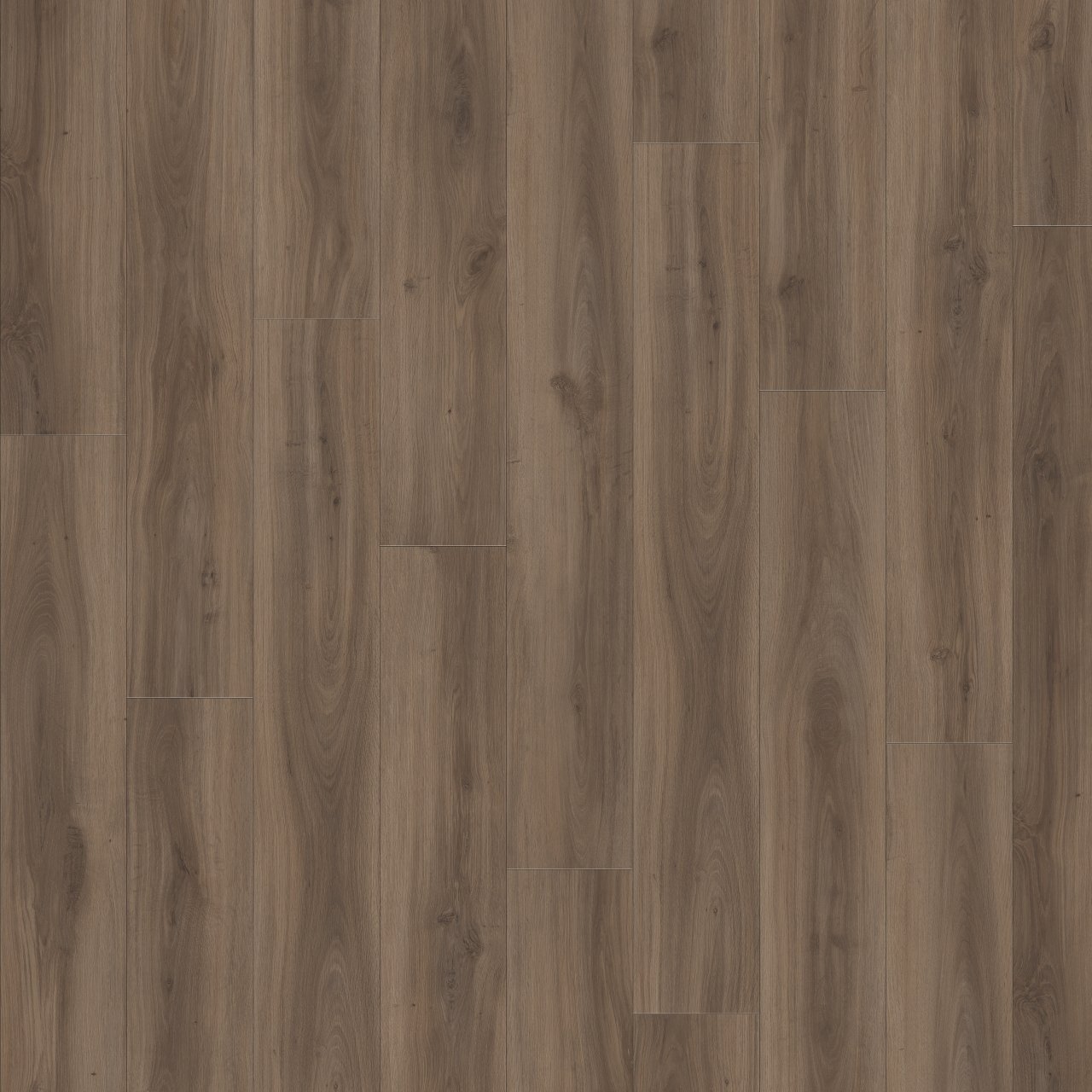 Moduleo Roots Classic Oak 24864