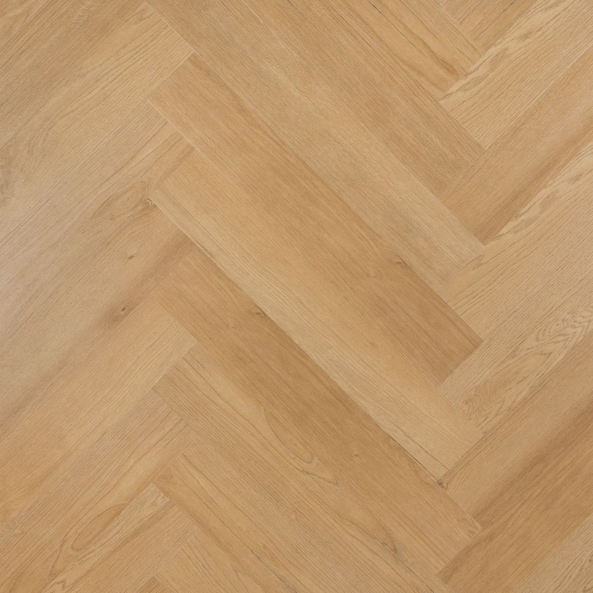 Otium Hammam visgraat